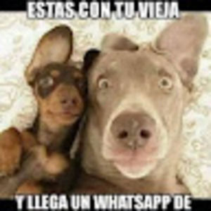 Meet your Posher, Nelson